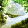 La Forêt La Forêt
