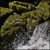 Cascade Cascade