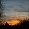 Ciel Ciel