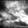 Ciel Ciel