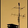 Maitre Corbeau Maitre Corbeau