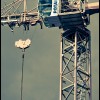 Grue Grue
